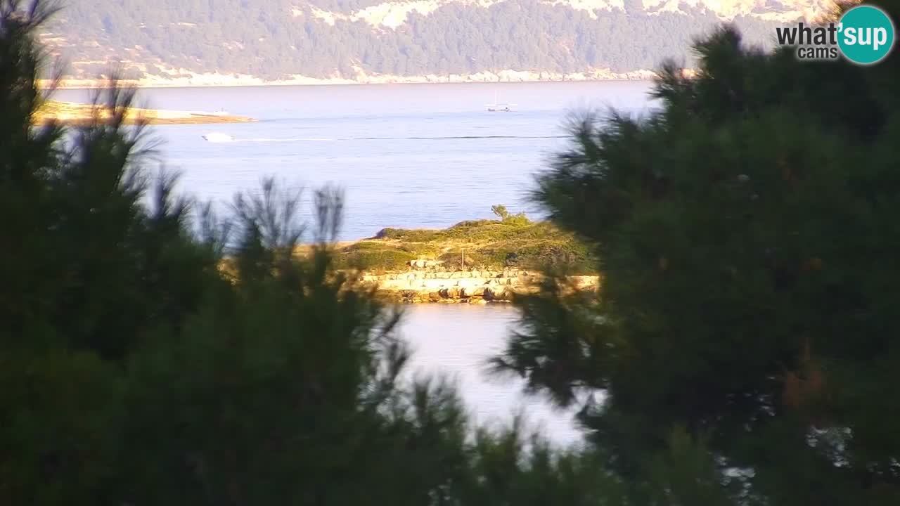 Lumbarda resort Spletna kamera Korčula