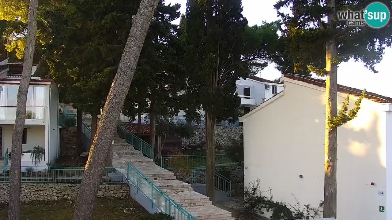 Lumbarda resort Webcam Korčula