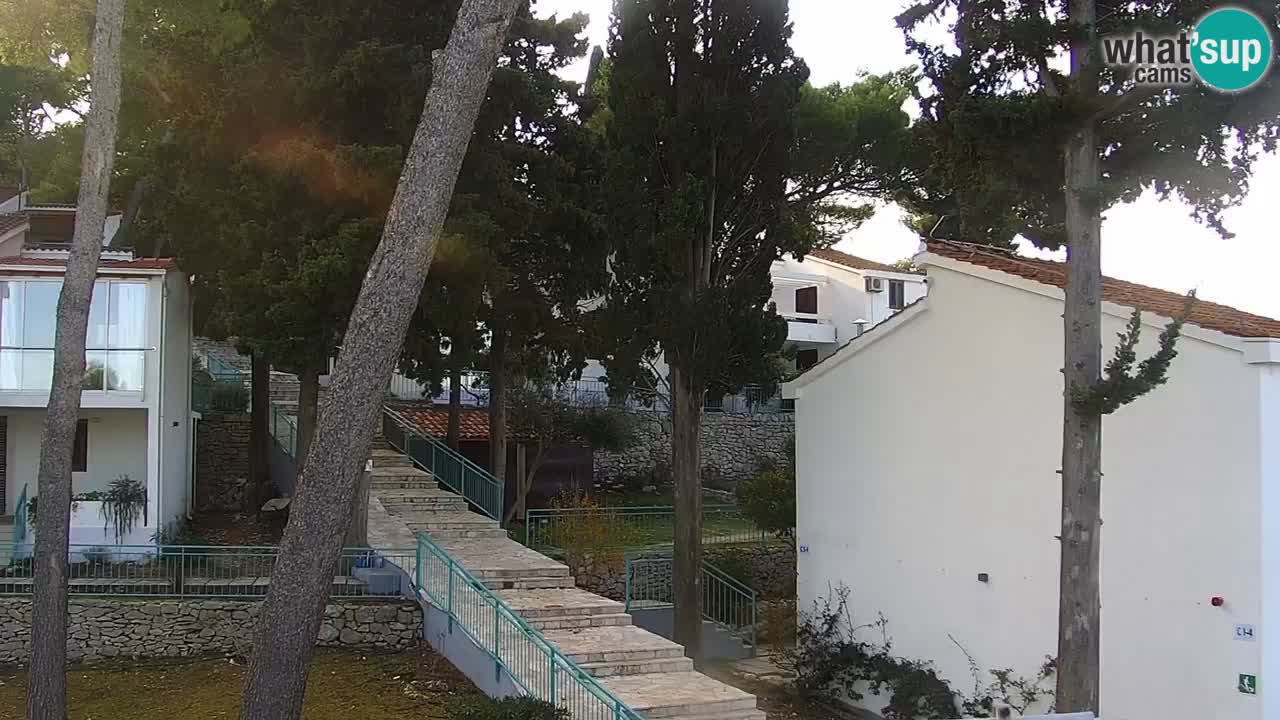 Lumbarda resort Webcam Korčula
