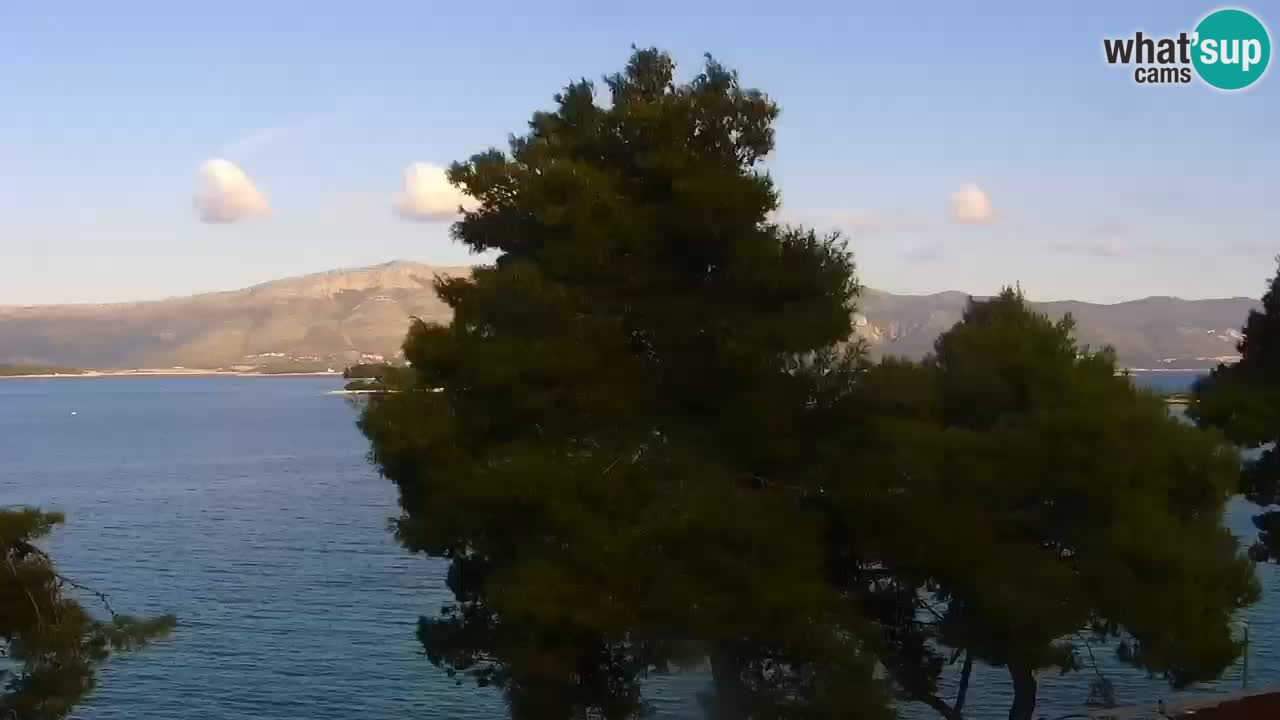 Lumbarda resort Webcam Korčula