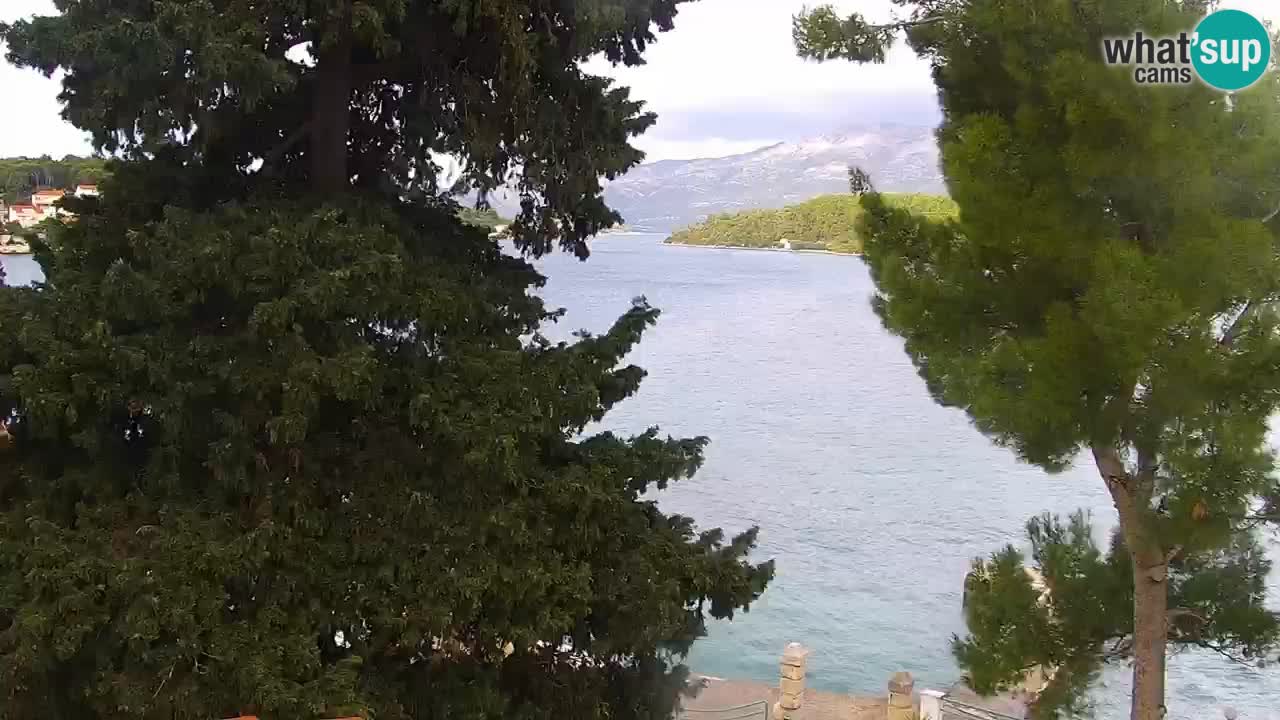 Lumbarda Resort camera en vivo Korčula