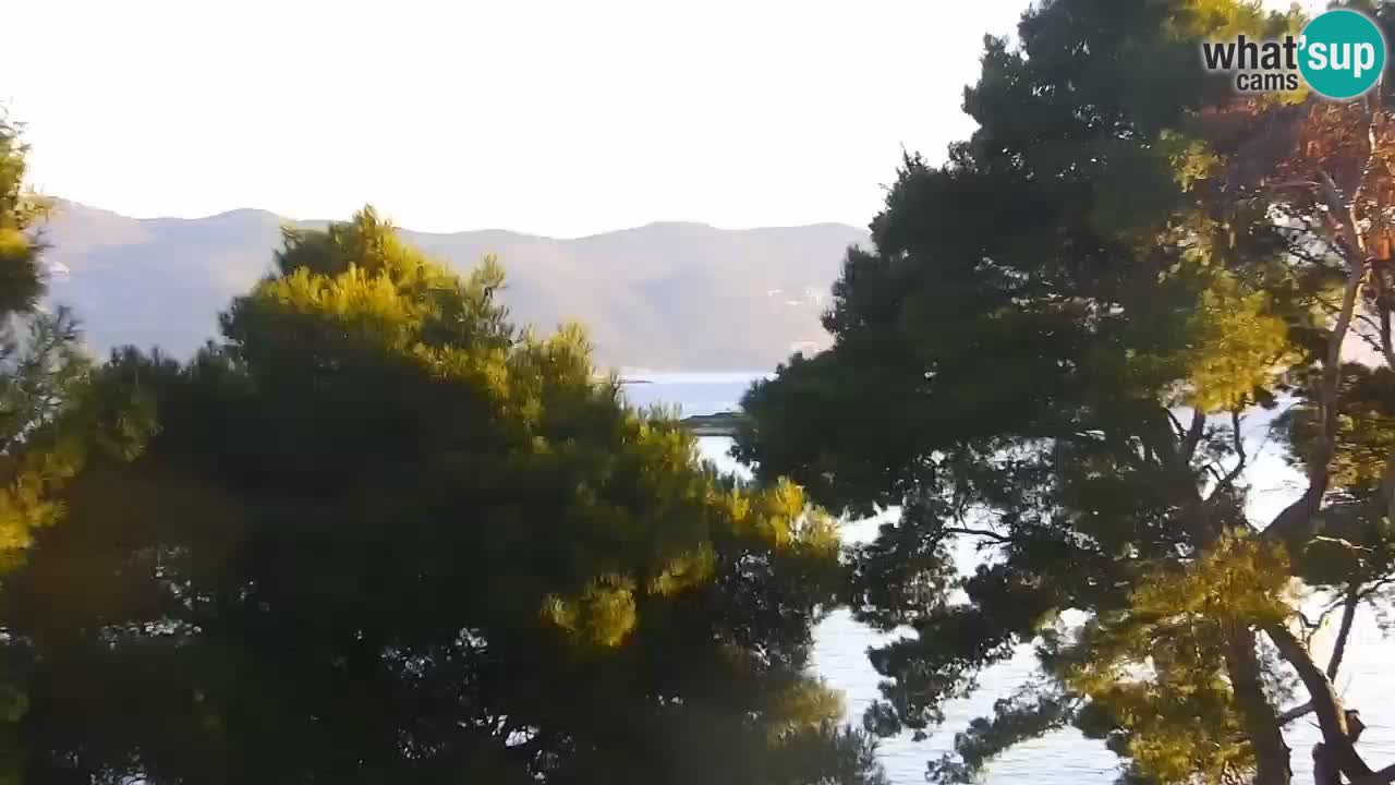 Lumbarda Resort webcam Kurzel