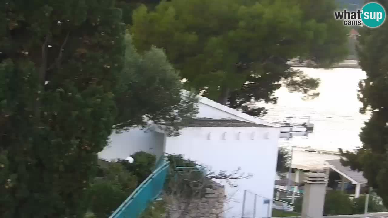 Lumbarda resort Spletna kamera Korčula