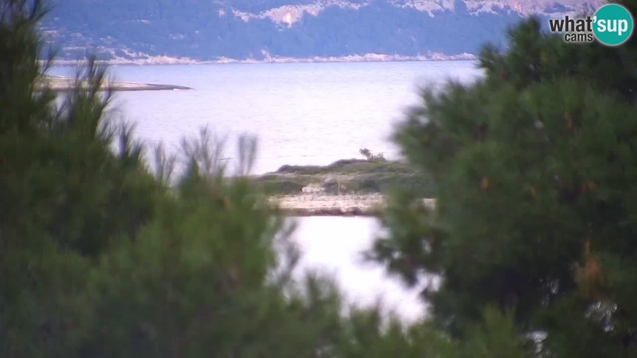Lumbarda resort Webcam Korčula