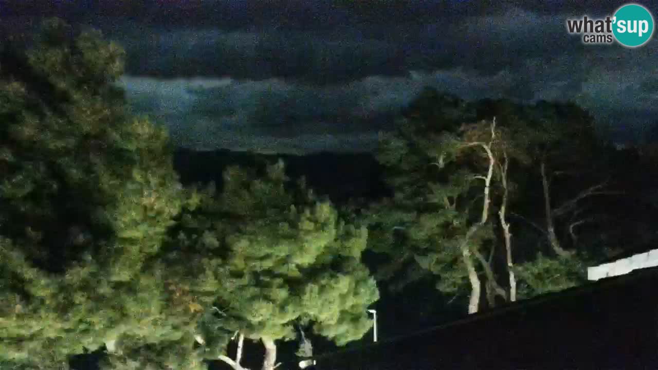 Lumbarda Resort webcam Kurzel