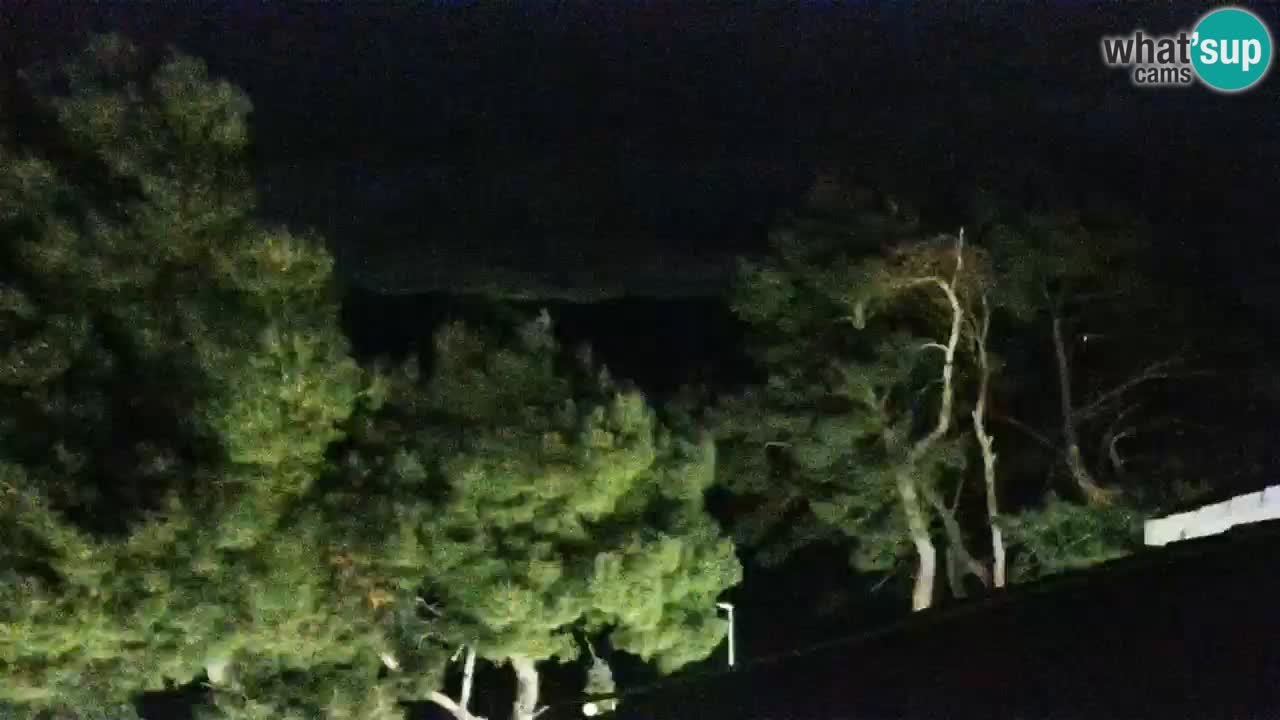 Lumbarda resort – livecam Korčula