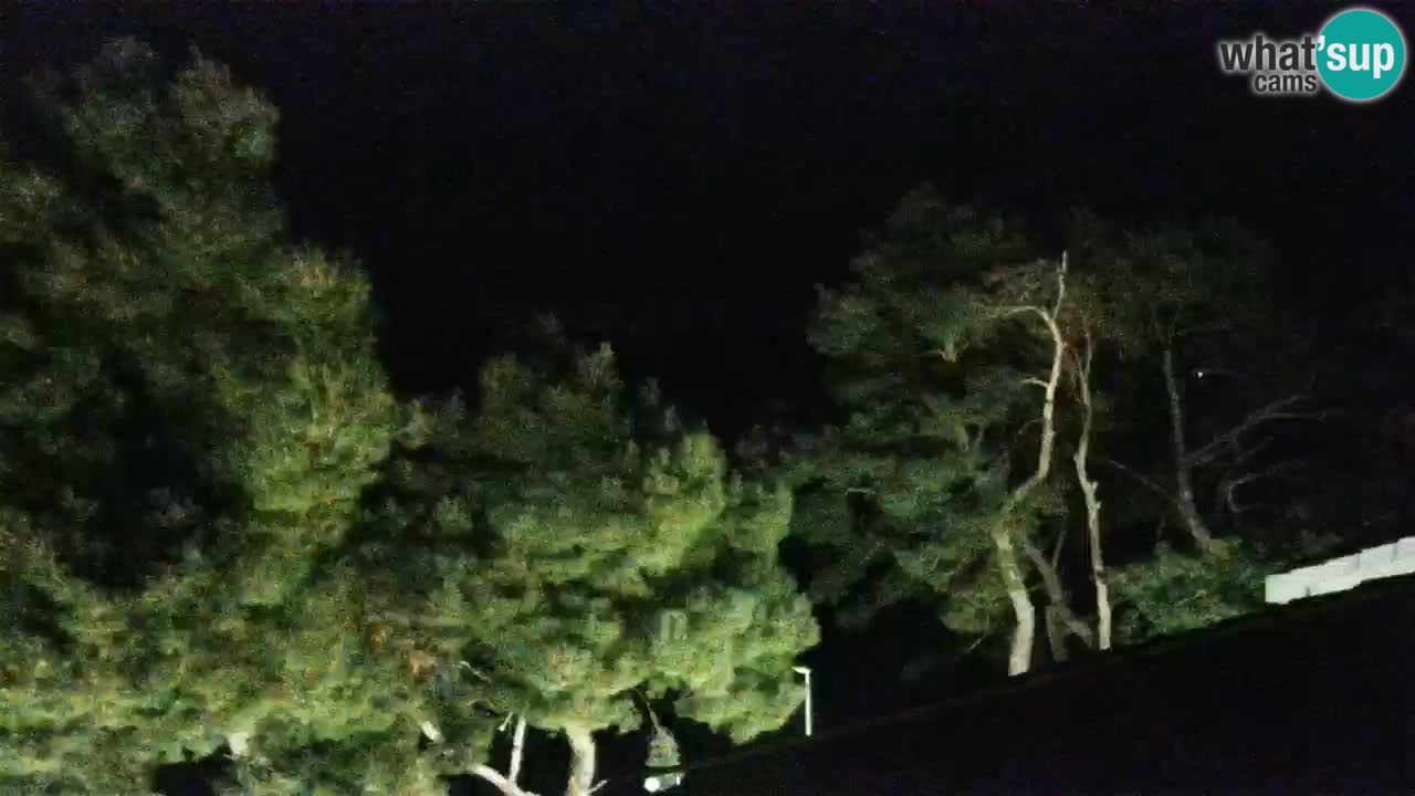 Lumbarda Resort camera en vivo Korčula