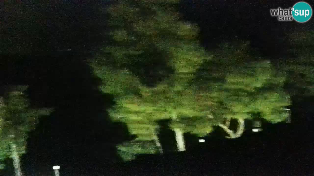 Lumbarda resort – livecam Korčula