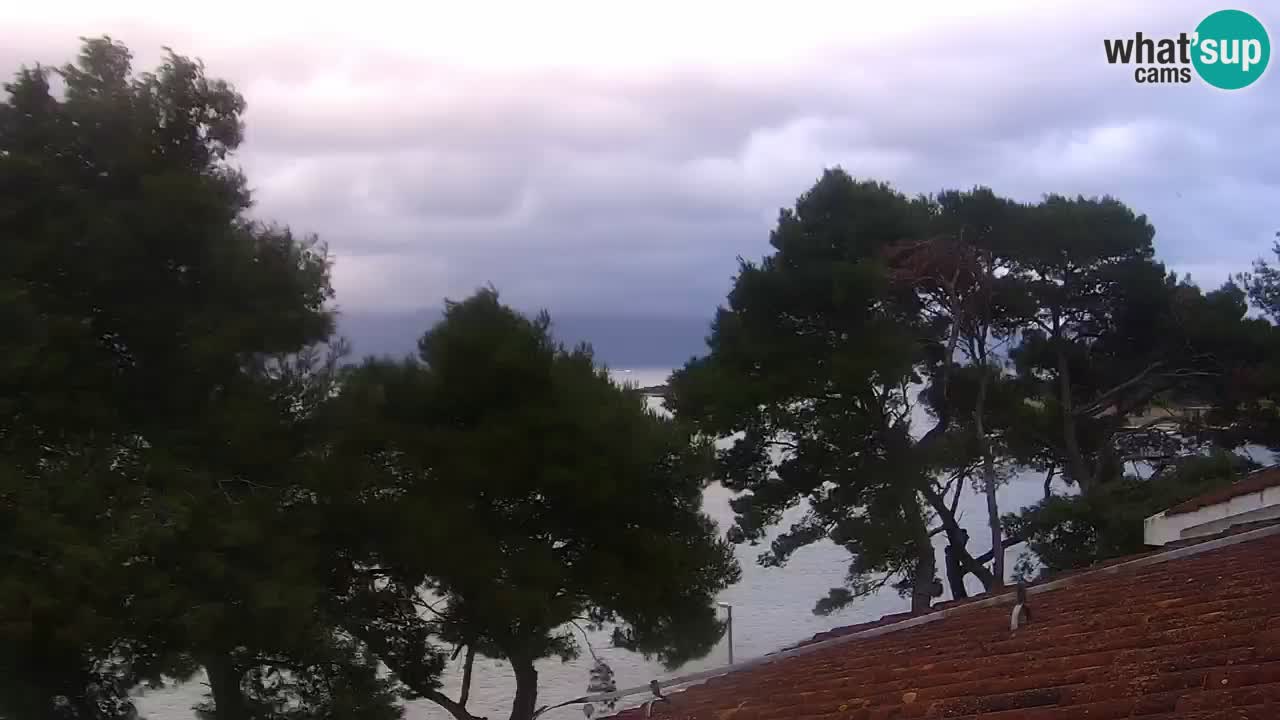 Lumbarda resort Web Kamera Korčula