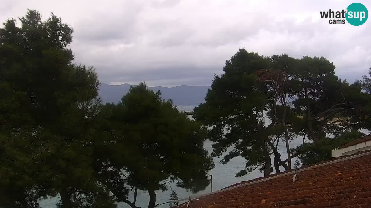 Lumbarda Resort camera en vivo Korčula