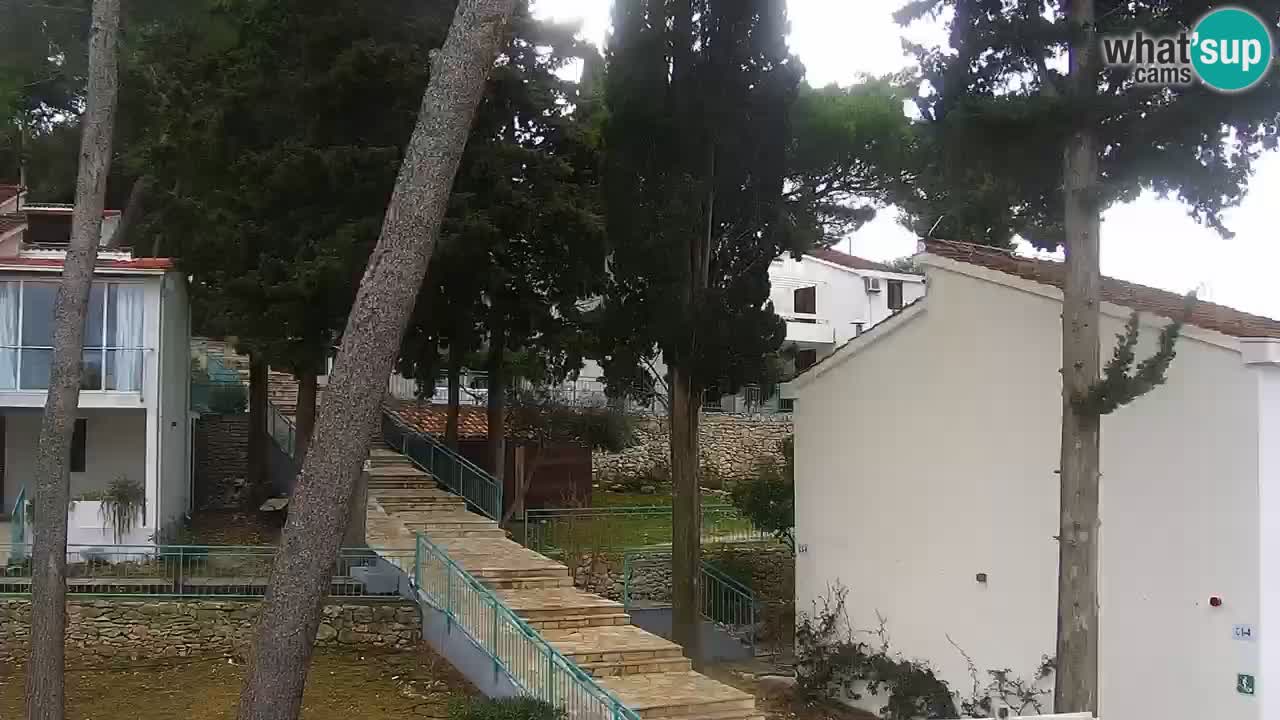 Lumbarda resort Web Kamera Korčula