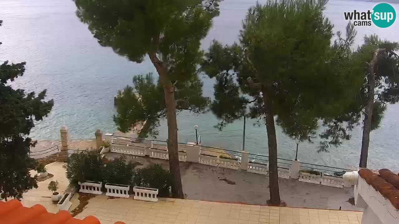 Lumbarda Resort camera en vivo Korčula