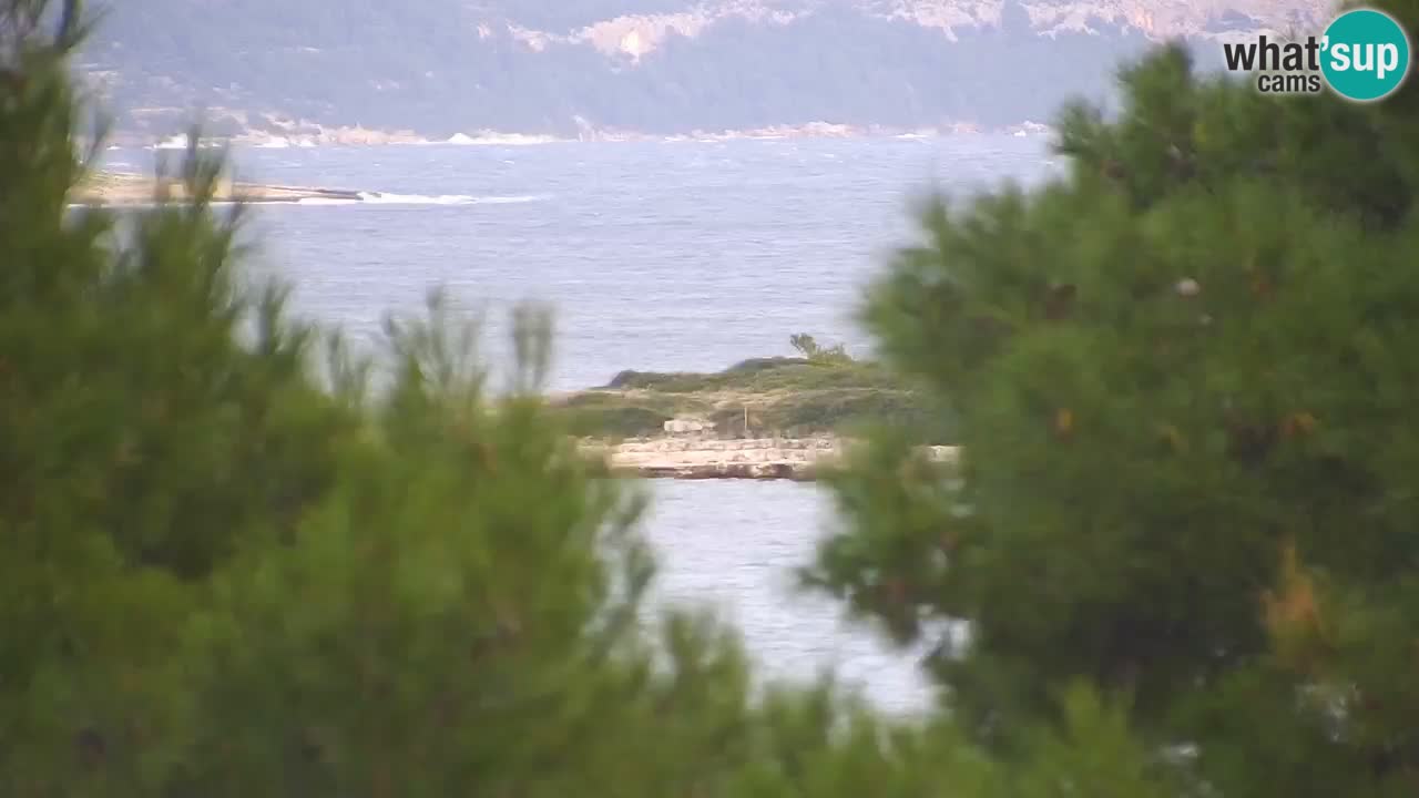 Lumbarda Resort camera en vivo Korčula