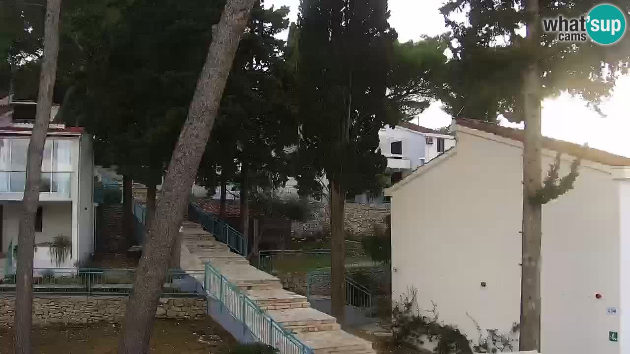 Lumbarda resort Webcam Korčula