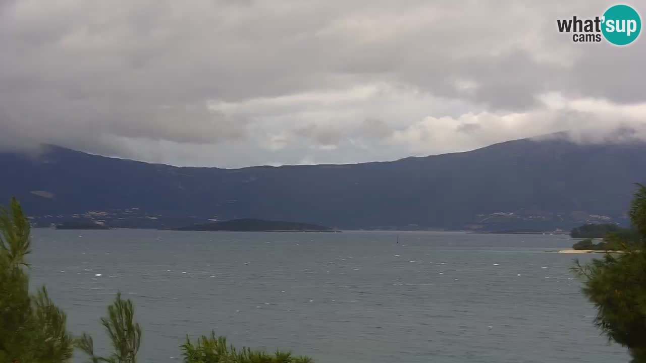 Lumbarda resort Webcam Korčula