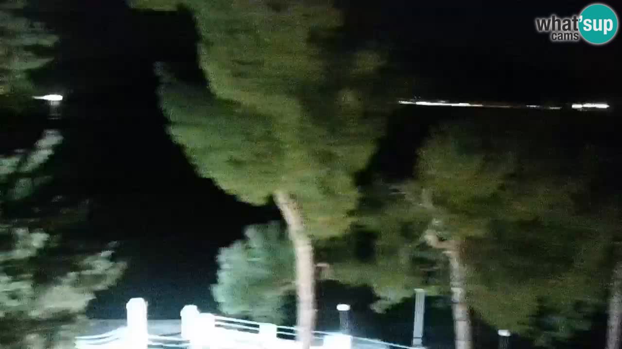 Lumbarda Resort live cam Curzola