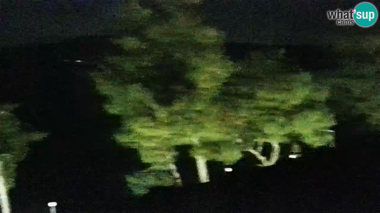 Lumbarda Resort camera en vivo Korčula