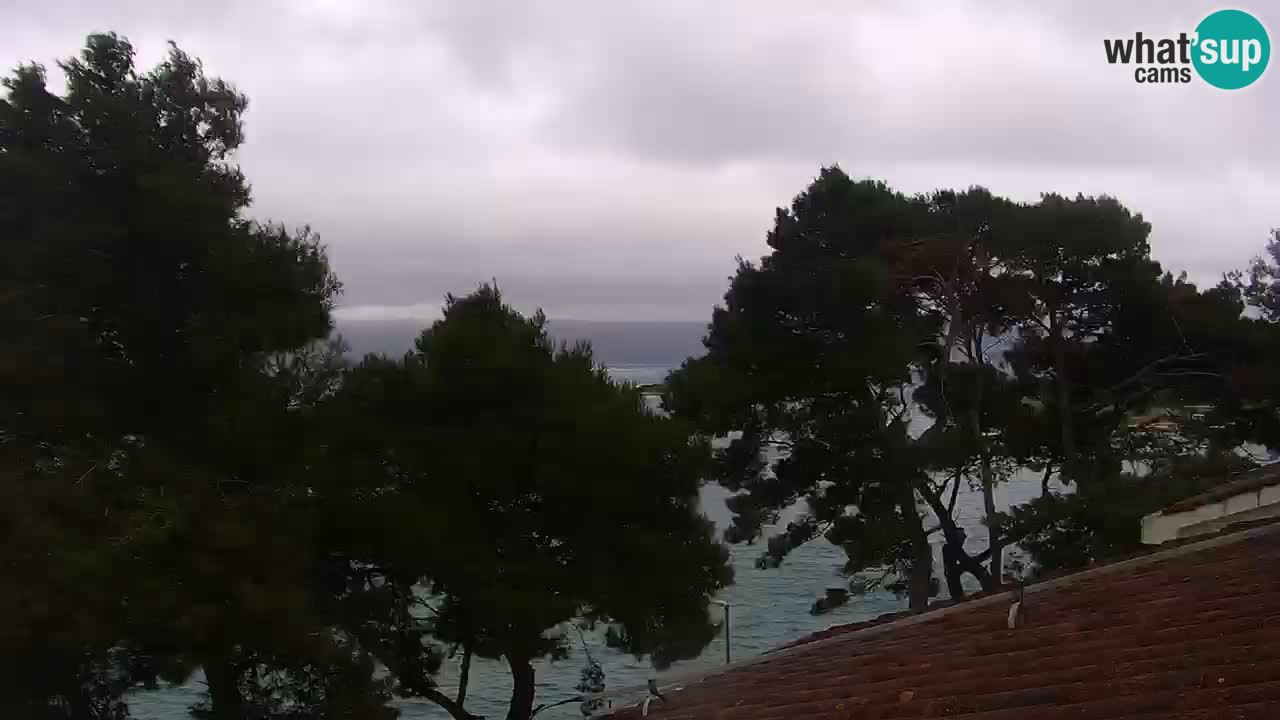 Lumbarda Resort camera en vivo Korčula