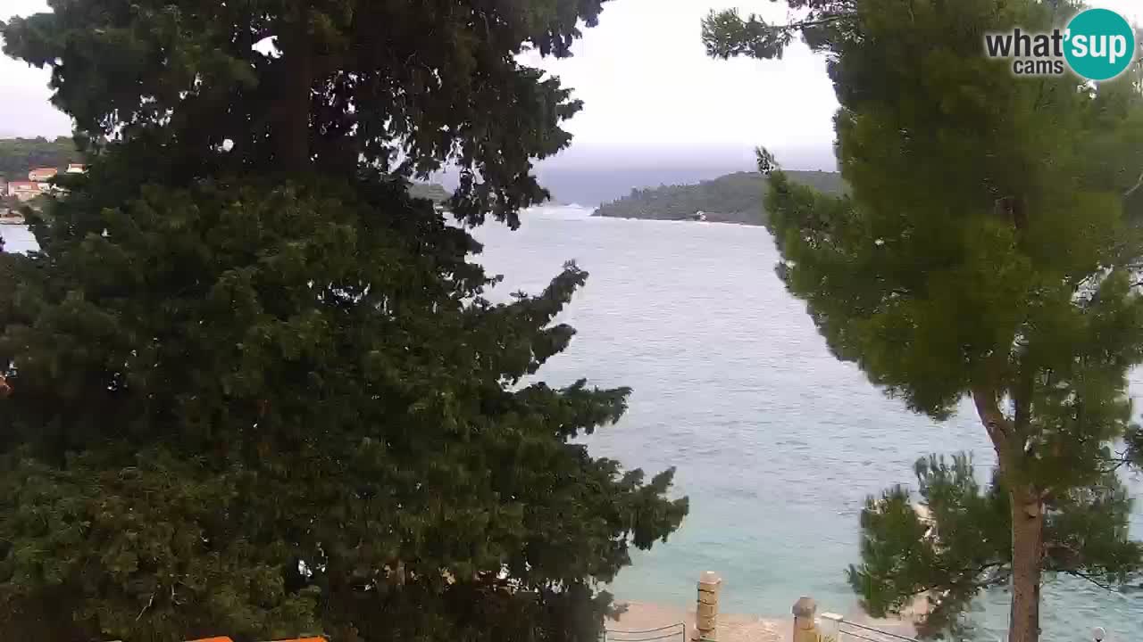 Lumbarda Resort camera en vivo Korčula
