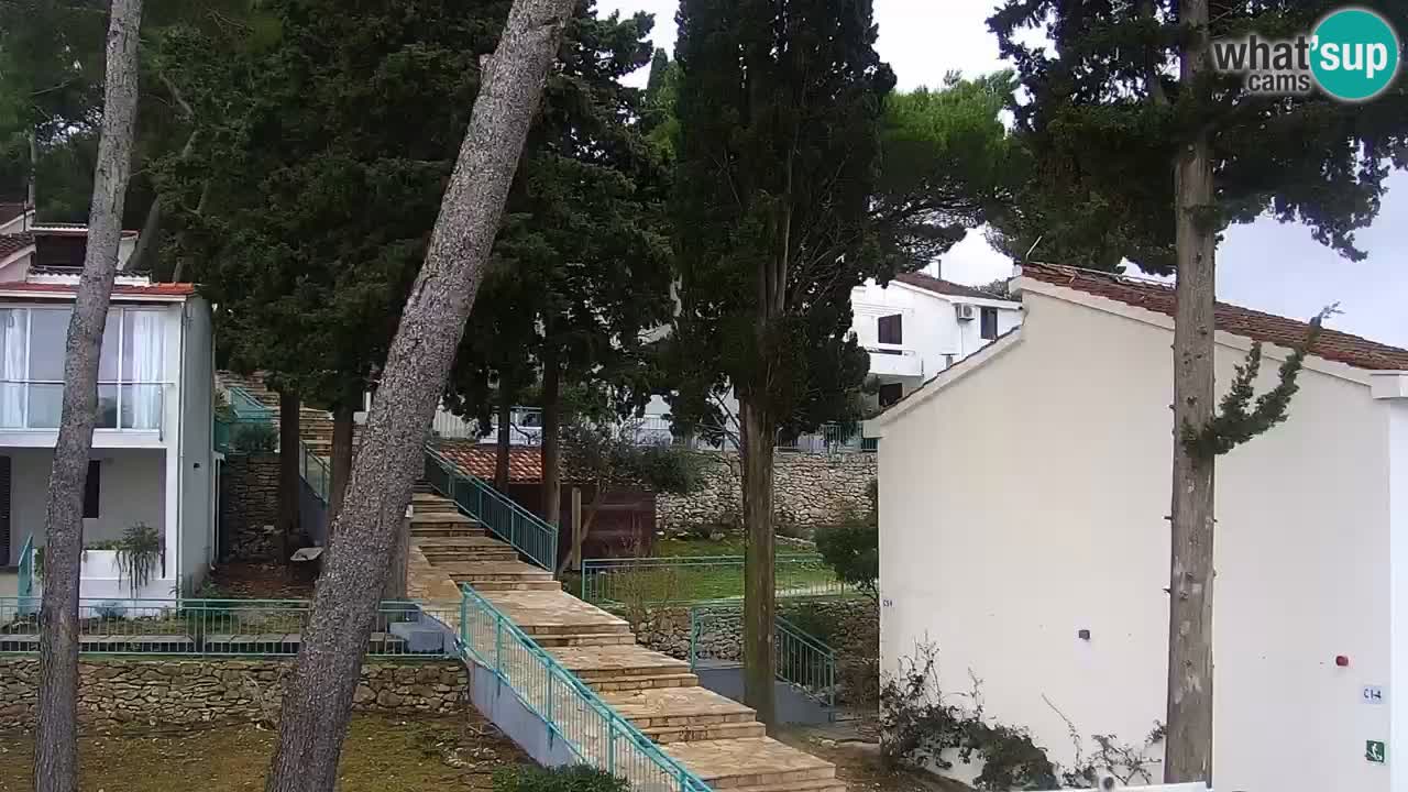 Lumbarda resort Webcam Korčula