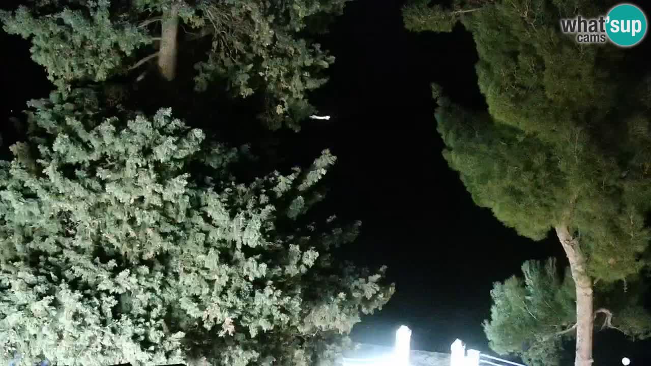 Lumbarda Resort webcam Kurzel