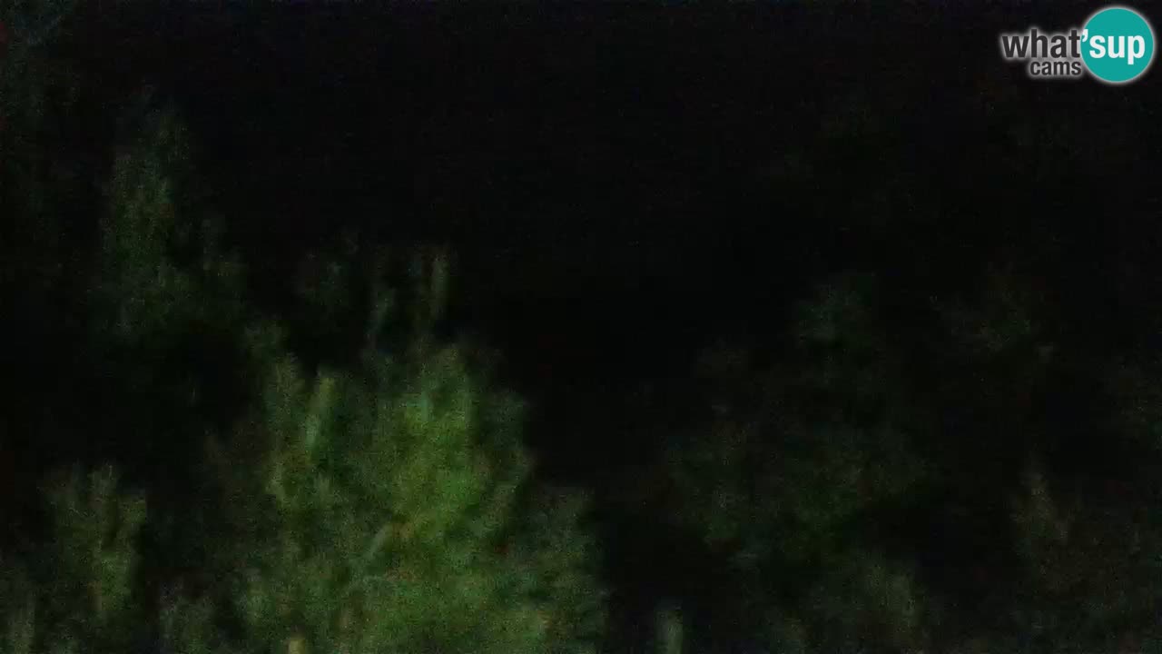 Lumbarda Resort webcam Kurzel