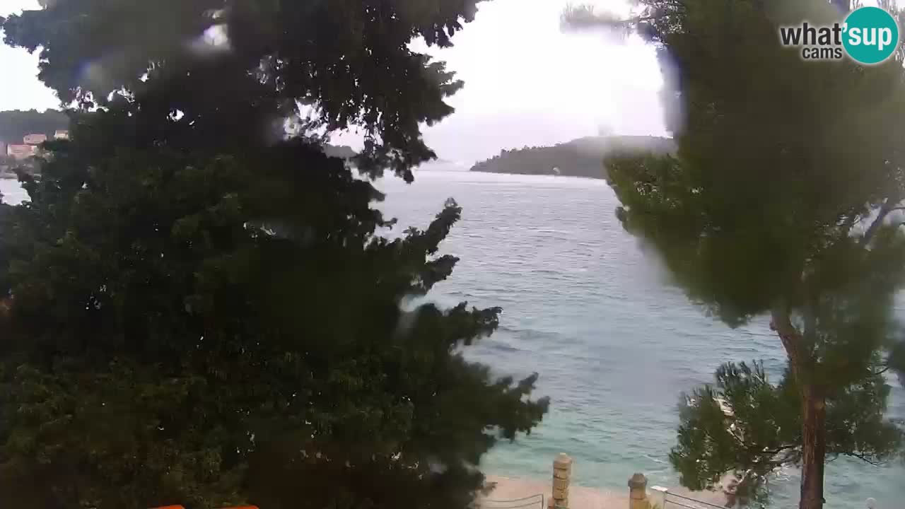 Lumbarda resort Webcam Korčula