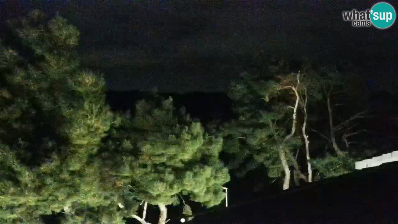 Lumbarda resort Spletna kamera Korčula