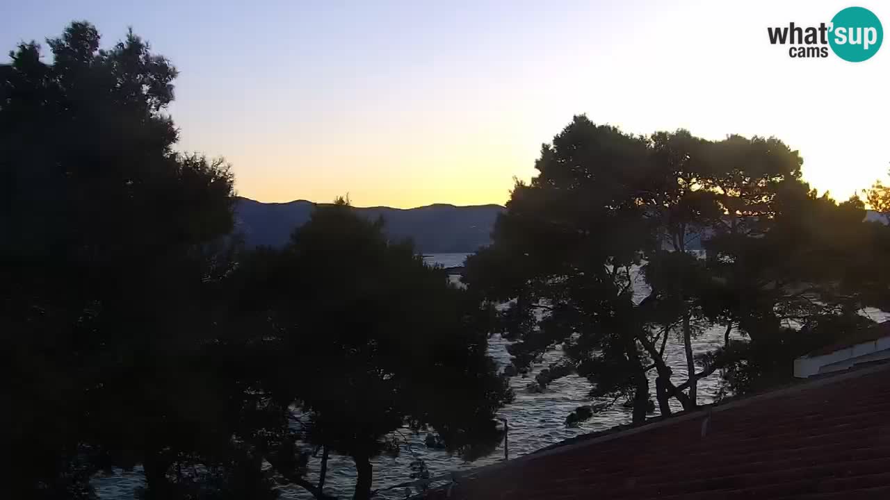 Lumbarda resort Spletna kamera Korčula