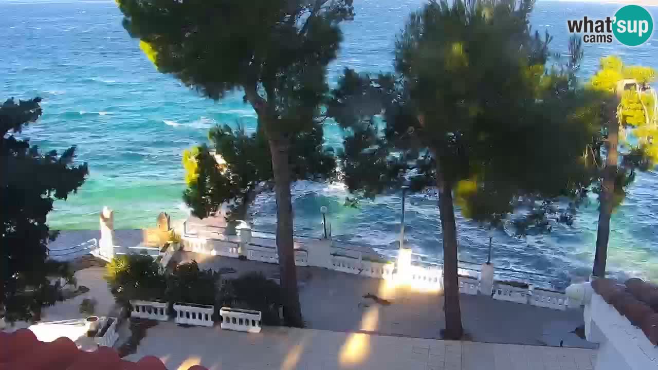 Lumbarda resort – livecam Korčula