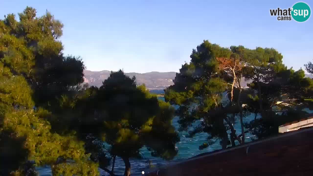 Lumbarda resort Spletna kamera Korčula