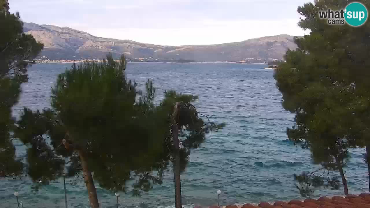 Lumbarda resort Webcam Korčula