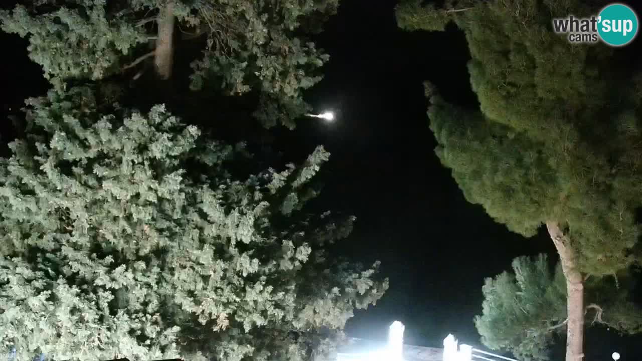 Lumbarda resort Spletna kamera Korčula