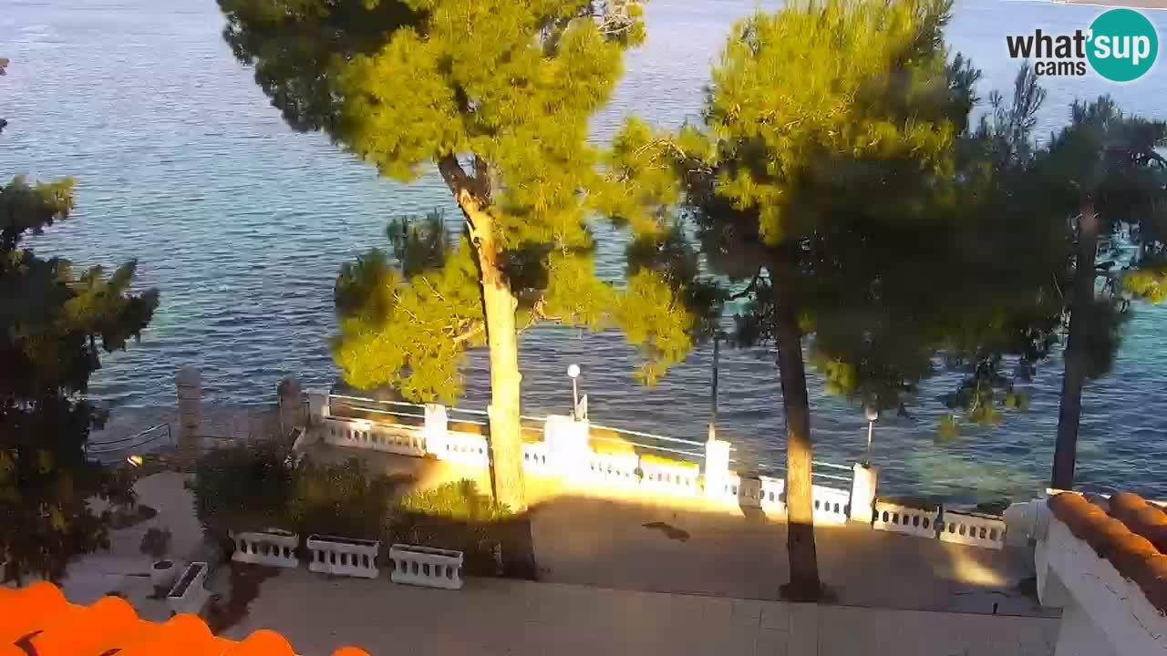 Lumbarda resort Web Kamera Korčula