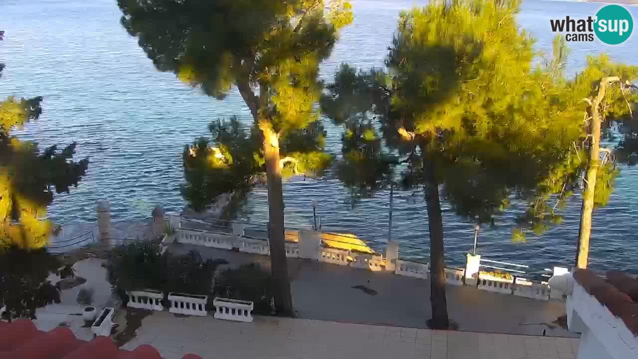 Lumbarda resort Webcam Korčula