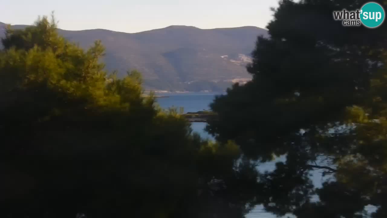 Lumbarda resort Webcam Korčula