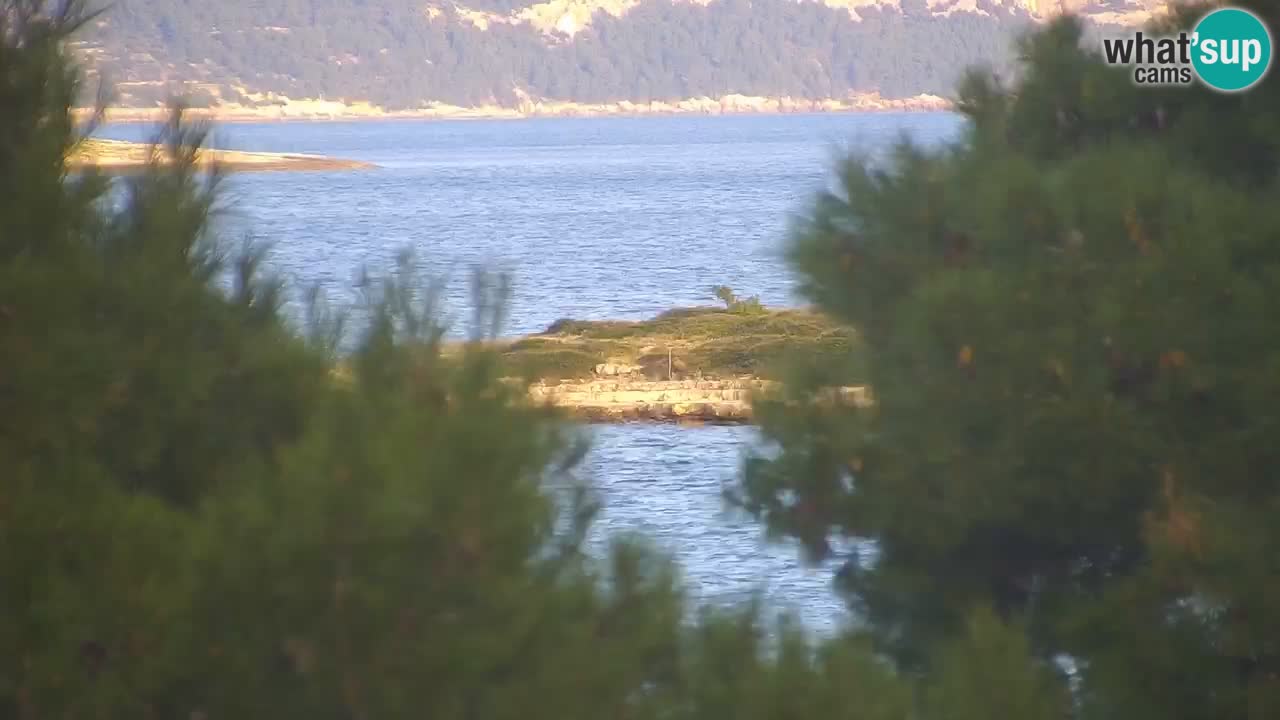 Lumbarda resort Spletna kamera Korčula