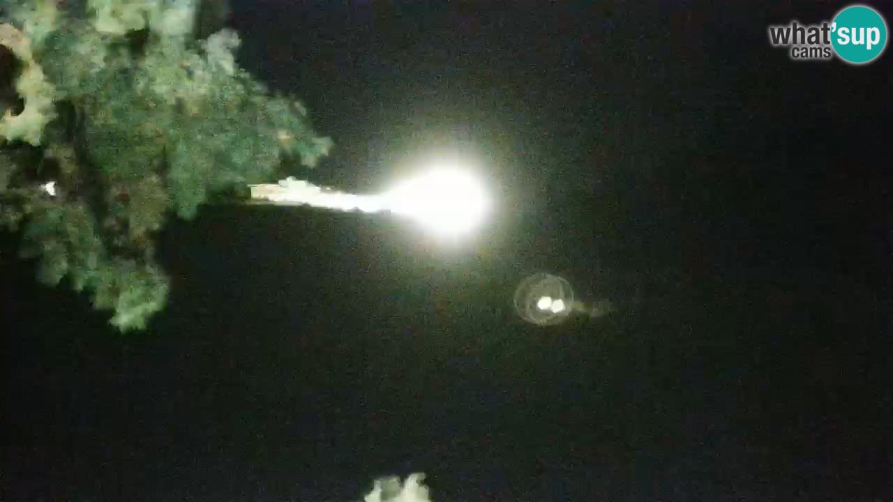 Lumbarda resort Webcam Korčula