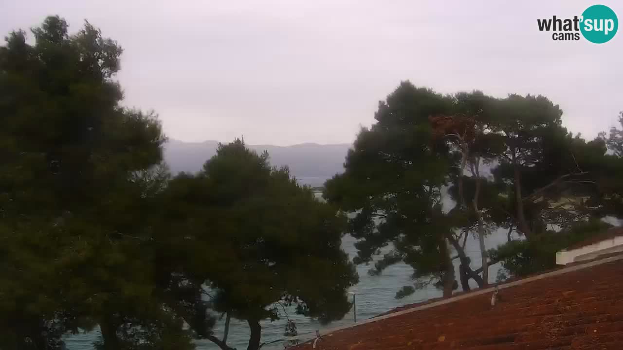 Lumbarda resort Webcam Korčula