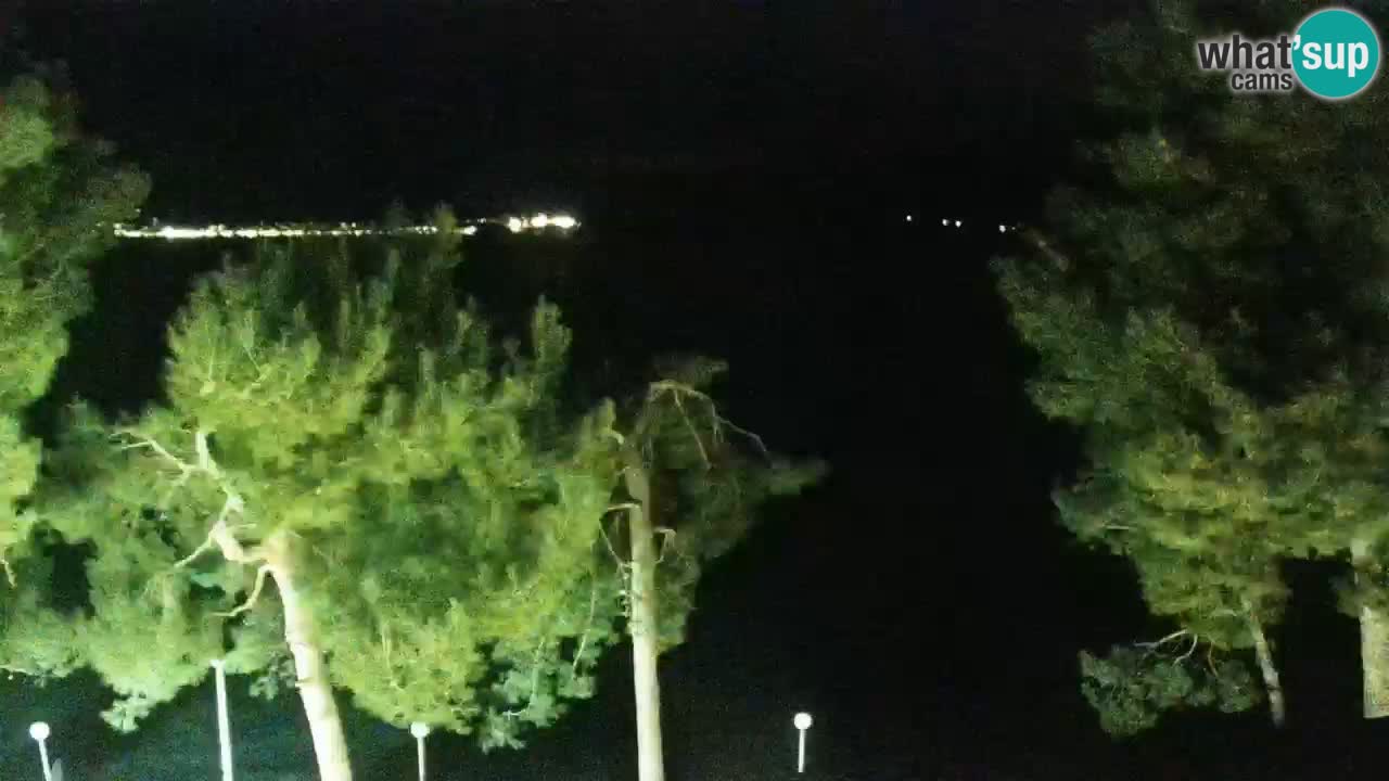 Lumbarda Resort camera en vivo Korčula