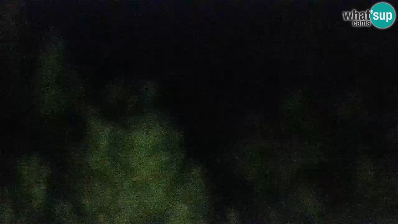 Lumbarda resort Web Kamera Korčula