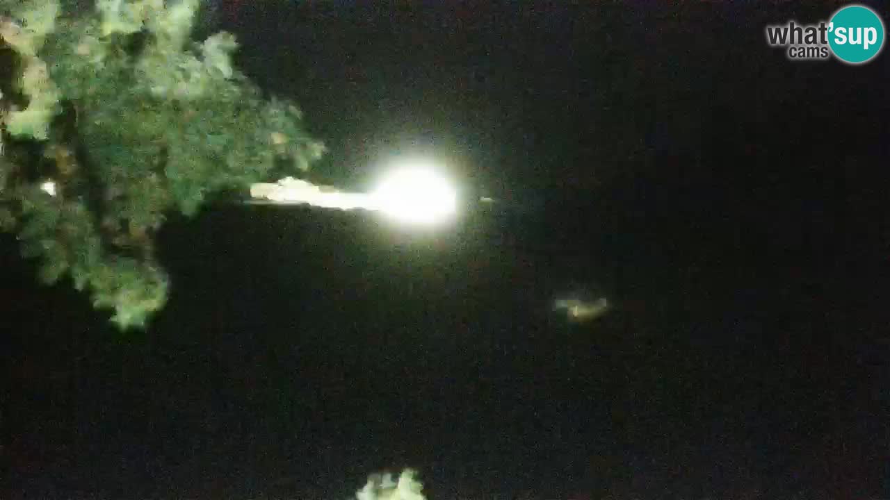 Lumbarda Resort camera en vivo Korčula