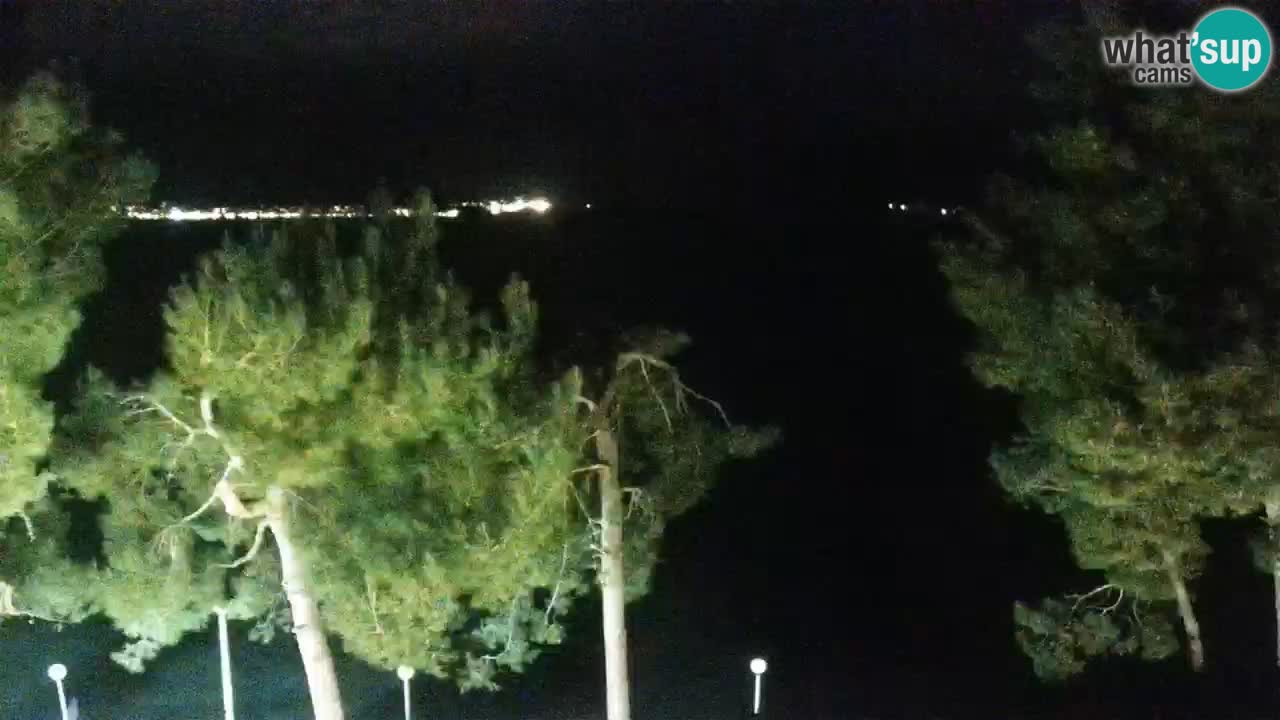 Lumbarda resort Webcam Korčula