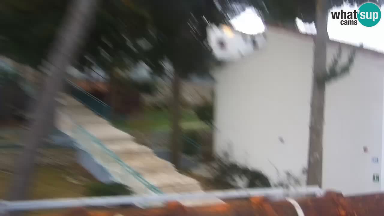 Lumbarda Resort camera en vivo Korčula