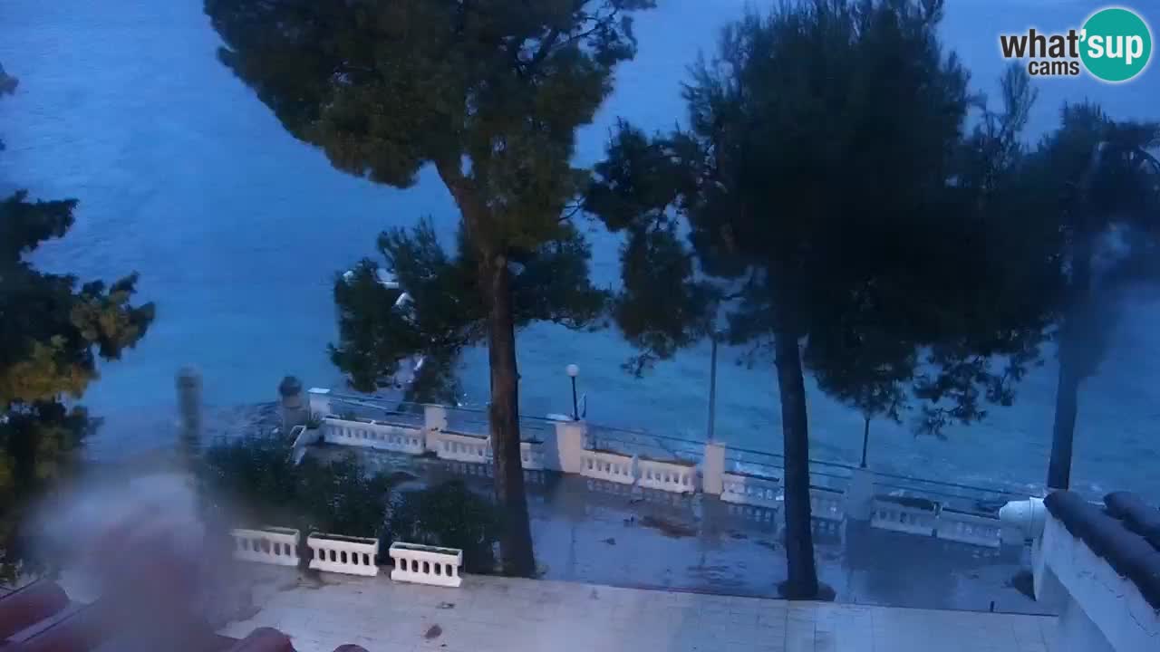 Lumbarda resort Webcam Korčula