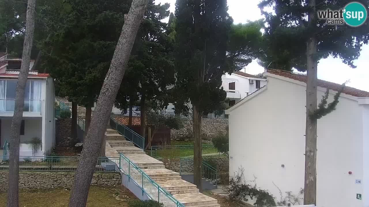 Lumbarda resort Web Kamera Korčula