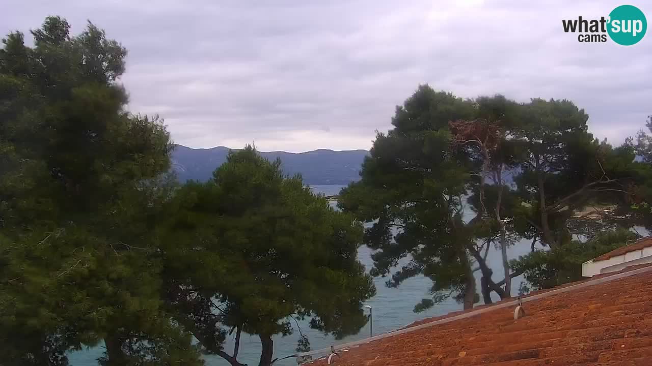 Lumbarda Resort camera en vivo Korčula