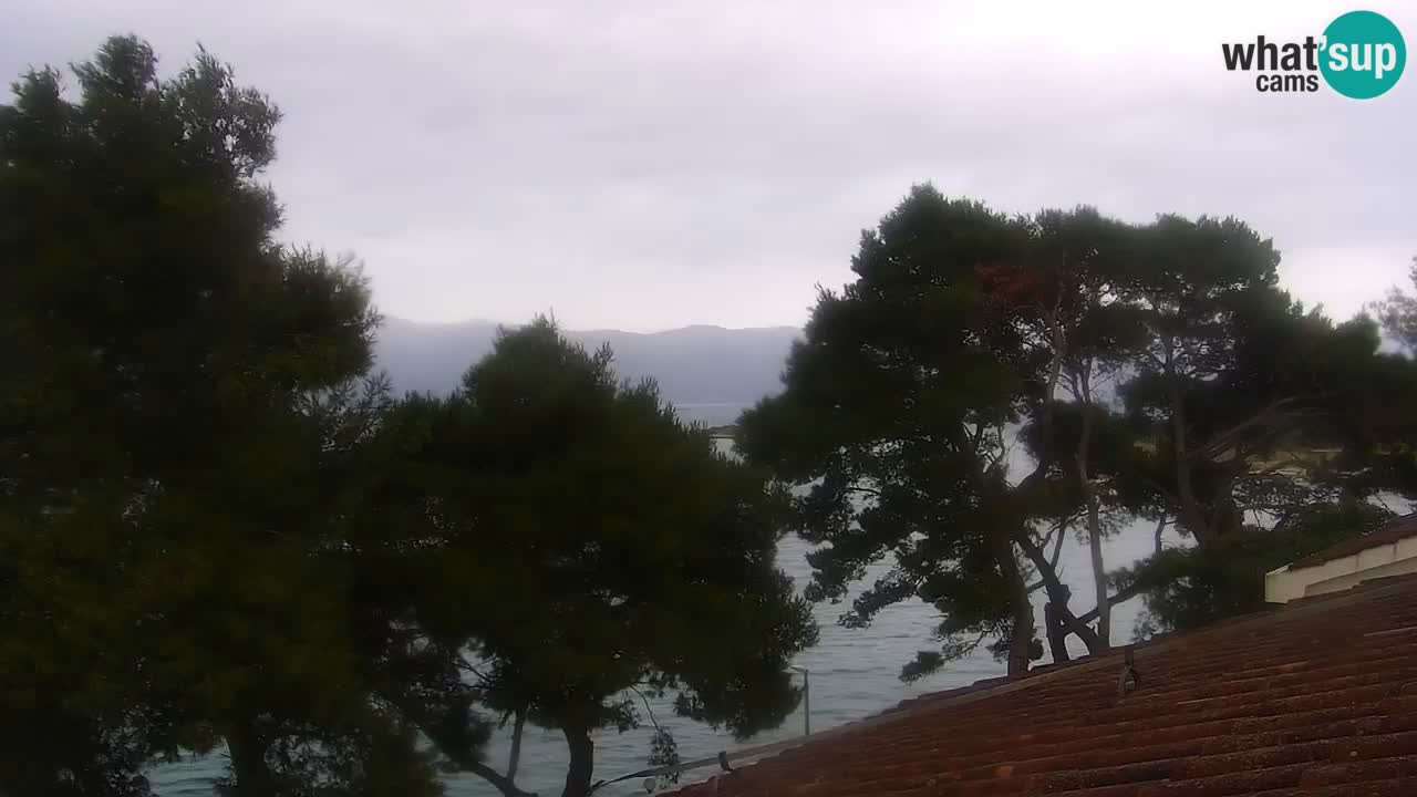 Lumbarda Resort camera en vivo Korčula