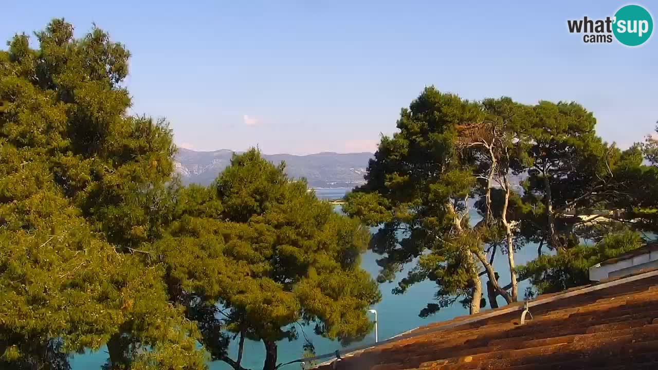 Lumbarda resort – livecam Korčula