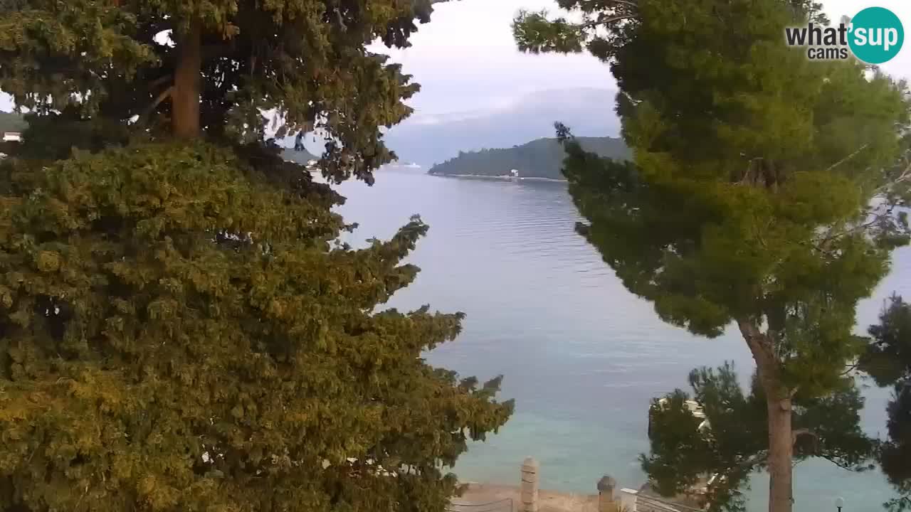 Lumbarda Resort live cam Curzola